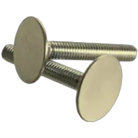 Elevator Bolt Zinc Yellow